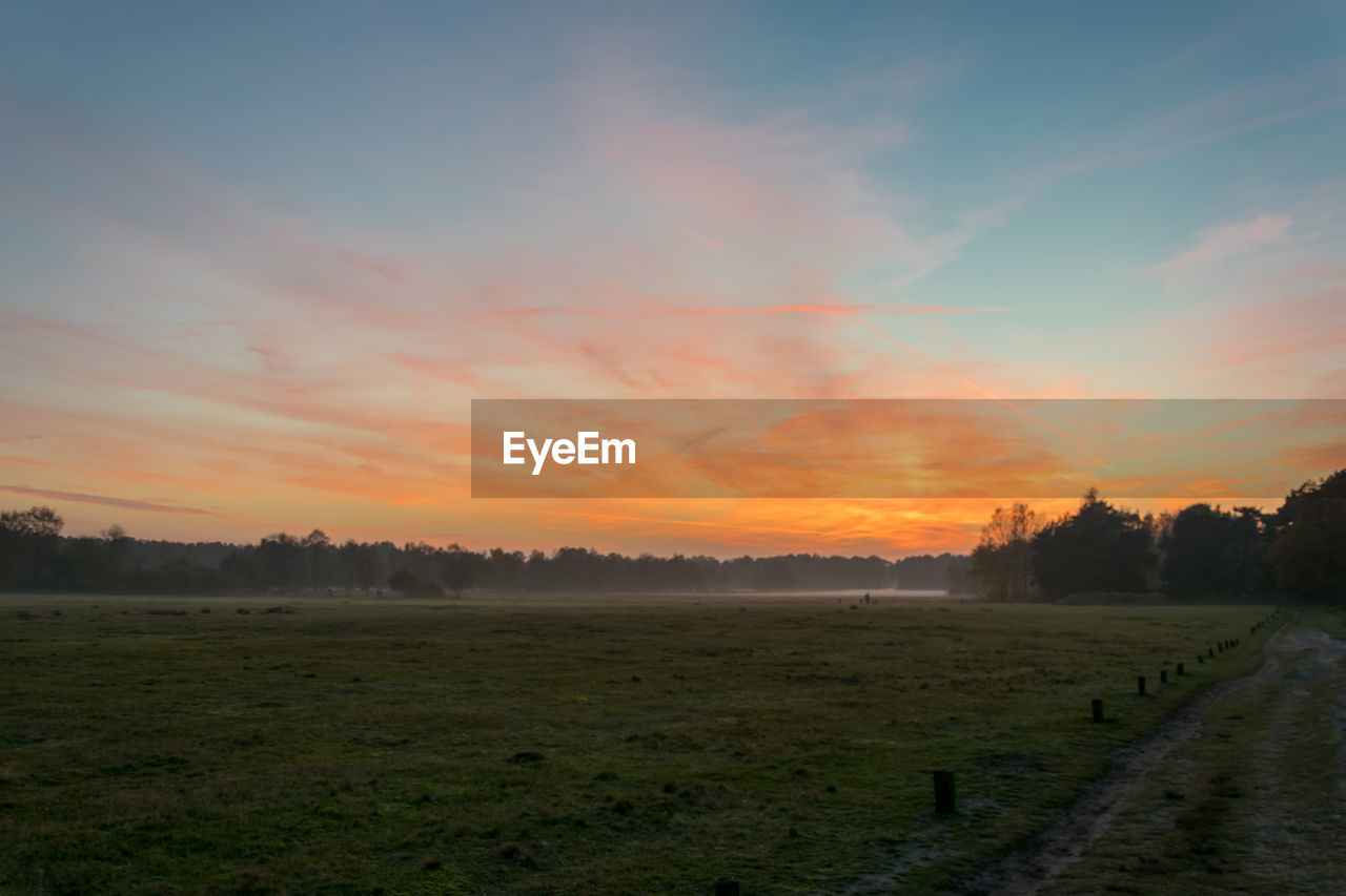 Scenic view of green landscape against sky during sunset