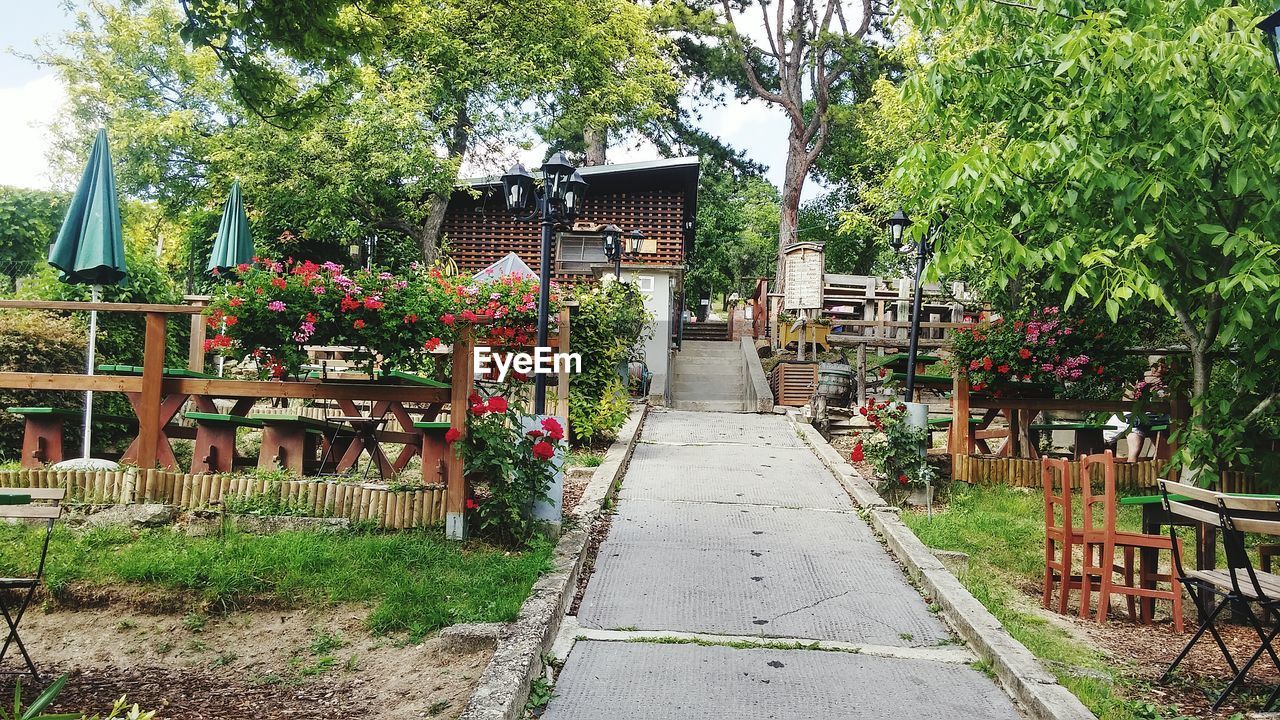 WALKWAY IN GARDEN