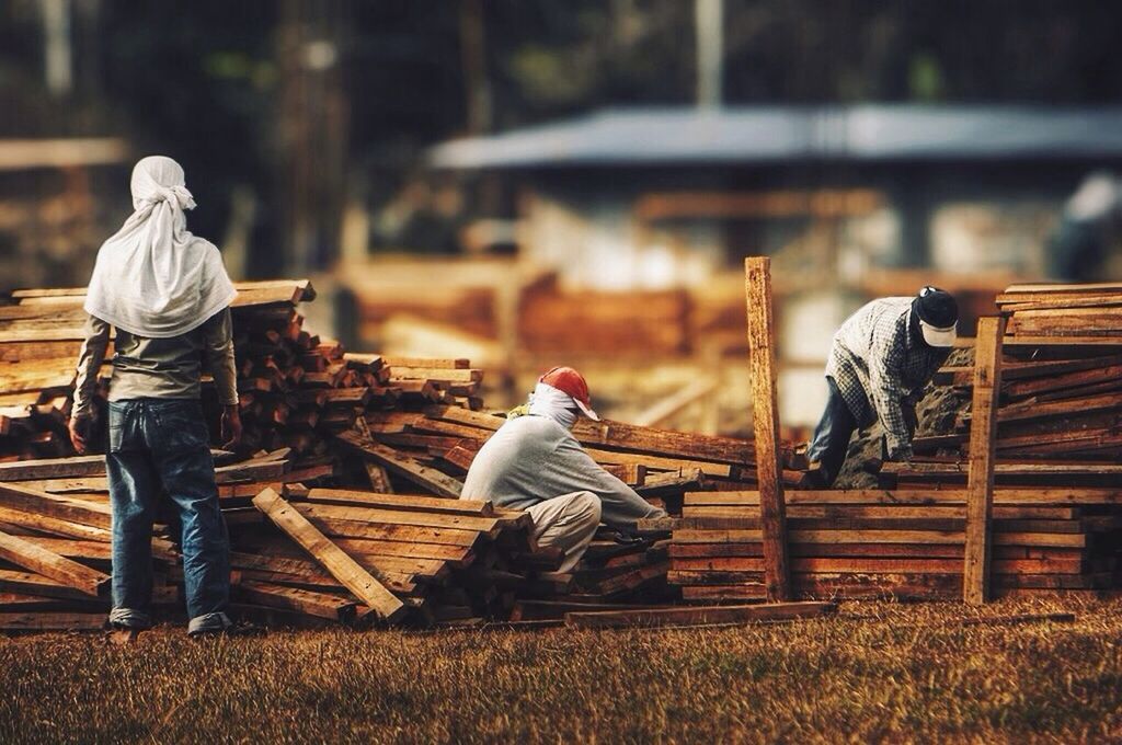 People working in lumber industry