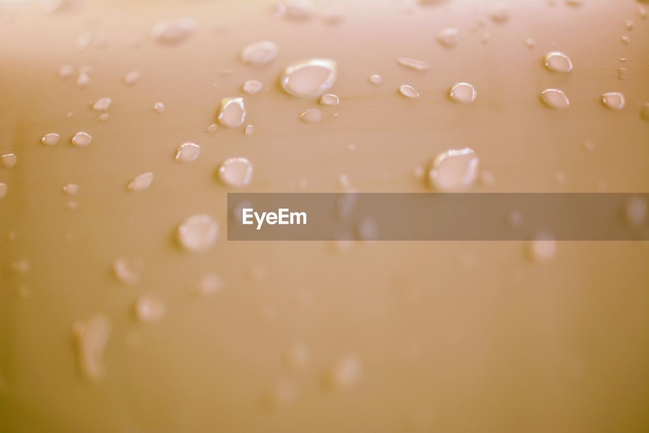 FULL FRAME SHOT OF WATER DROPS ON GLASS