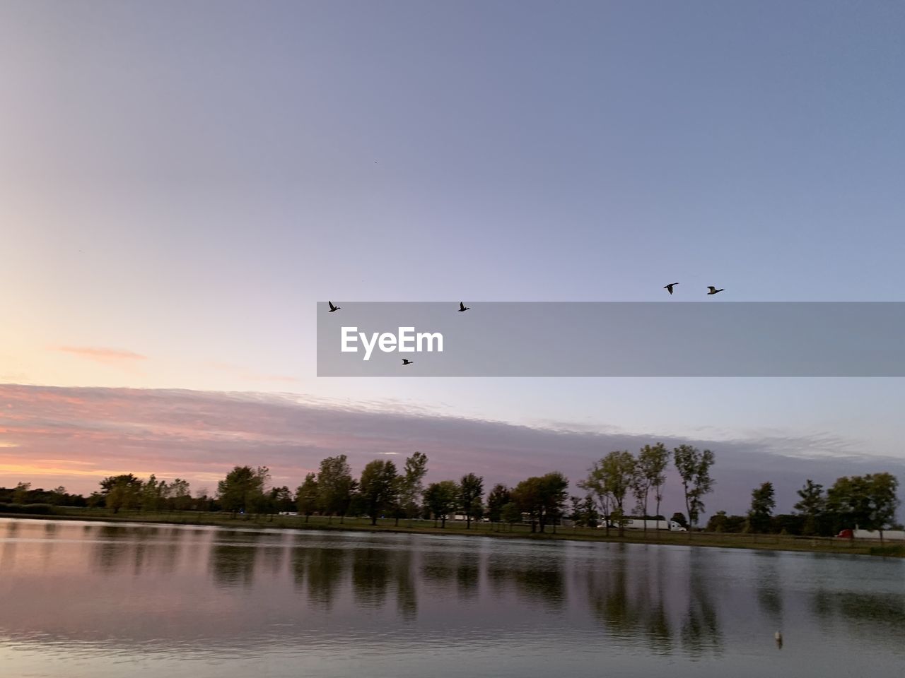 BIRDS FLYING OVER LAKE AGAINST SKY