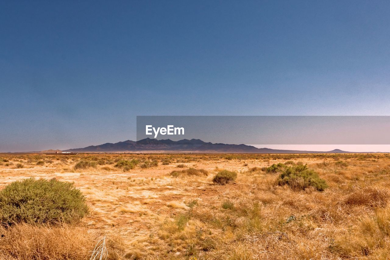 Scenic view of field against clear sky