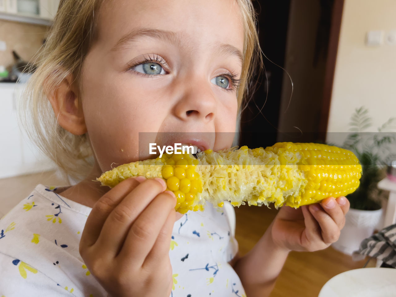 close-up of woman holding corn at home
