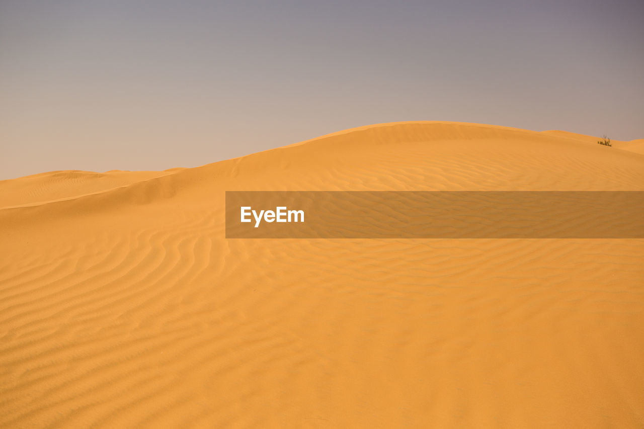 SCENIC VIEW OF SAND DUNES IN DESERT