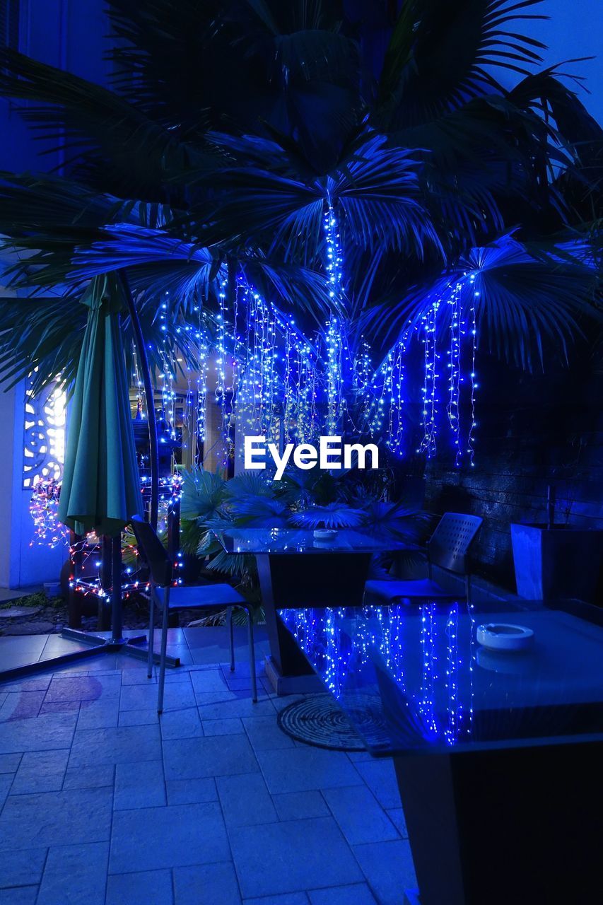 Chairs and tables with illuminated trees