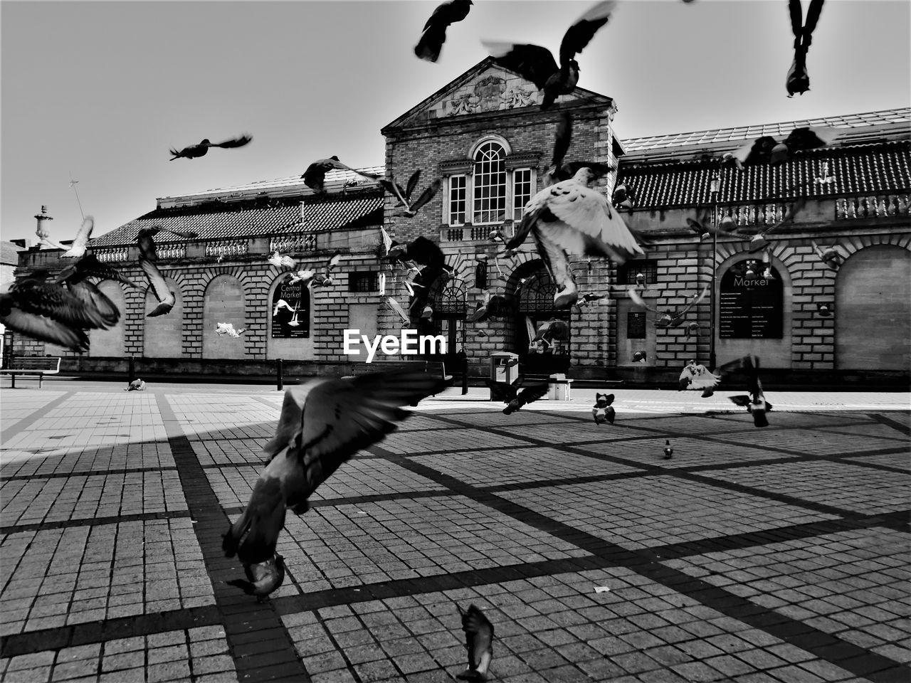 PEOPLE WALKING ON STREET AGAINST SKY