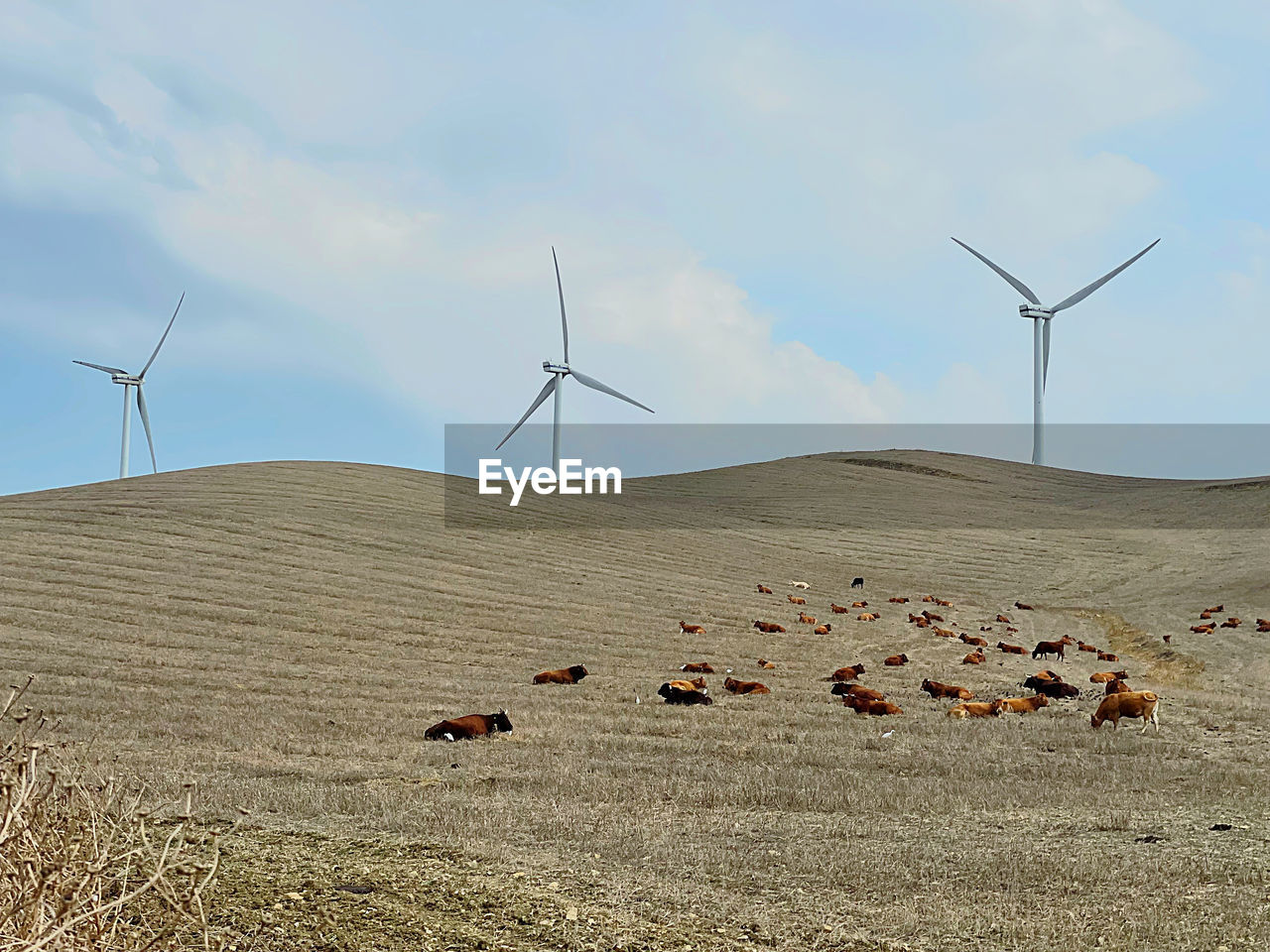 WIND TURBINES ON LAND