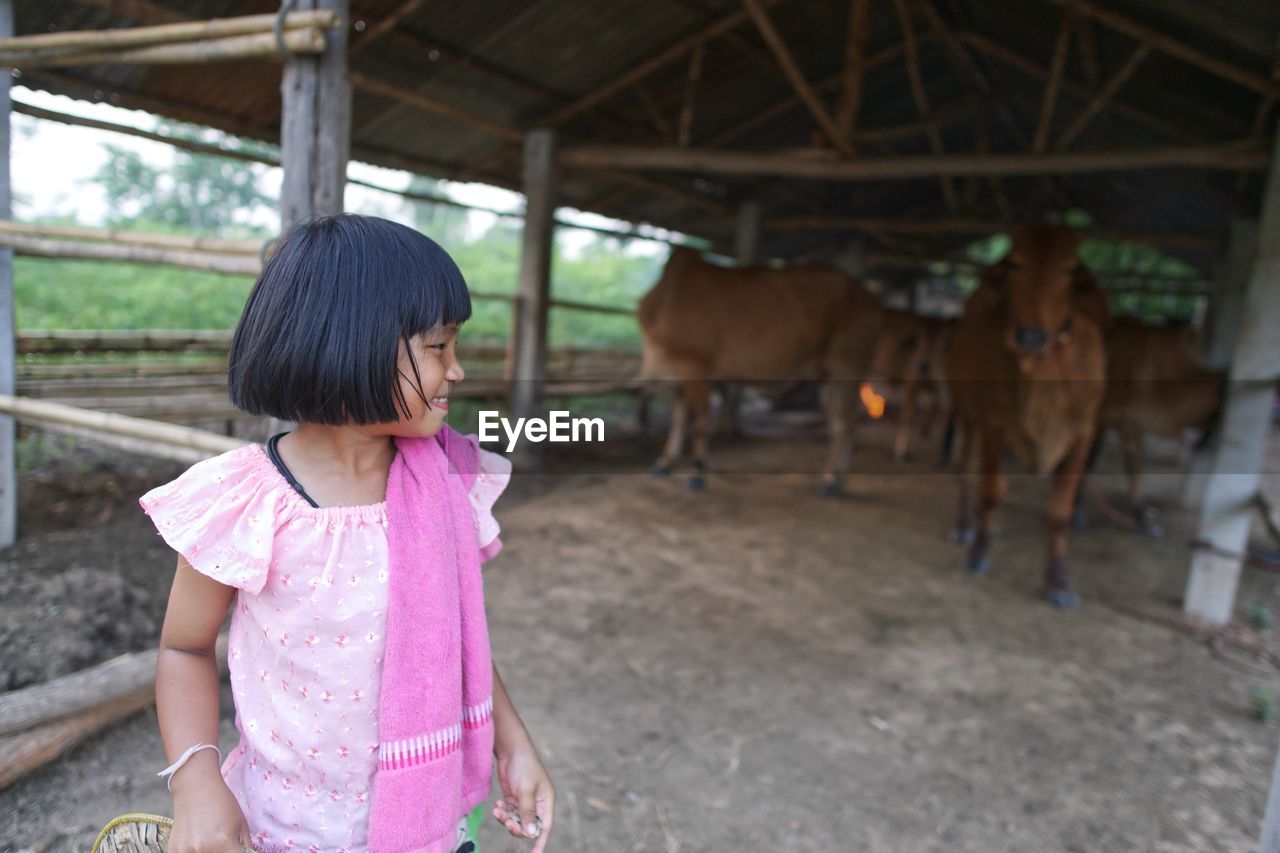 Smiling girl standing against cows in shelter