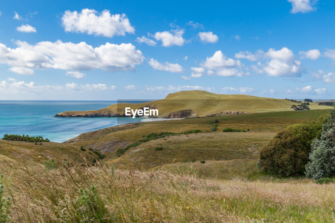 Scenic view of field by sea against sky