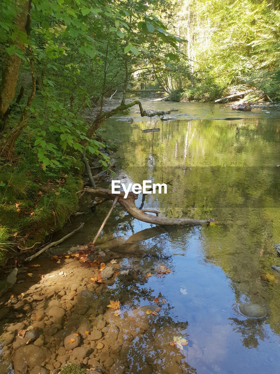 SCENIC VIEW OF LAKE