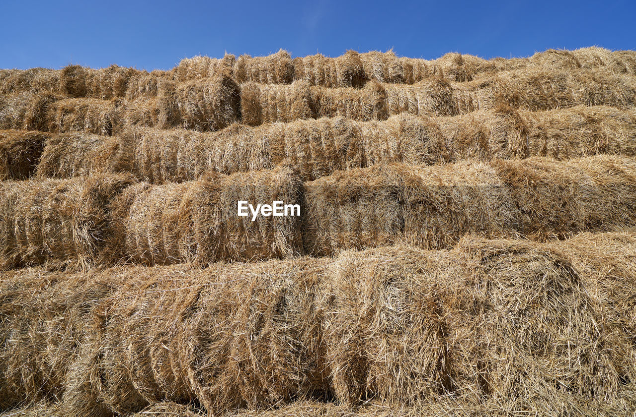 VIEW OF HAY BALES ON FIELD