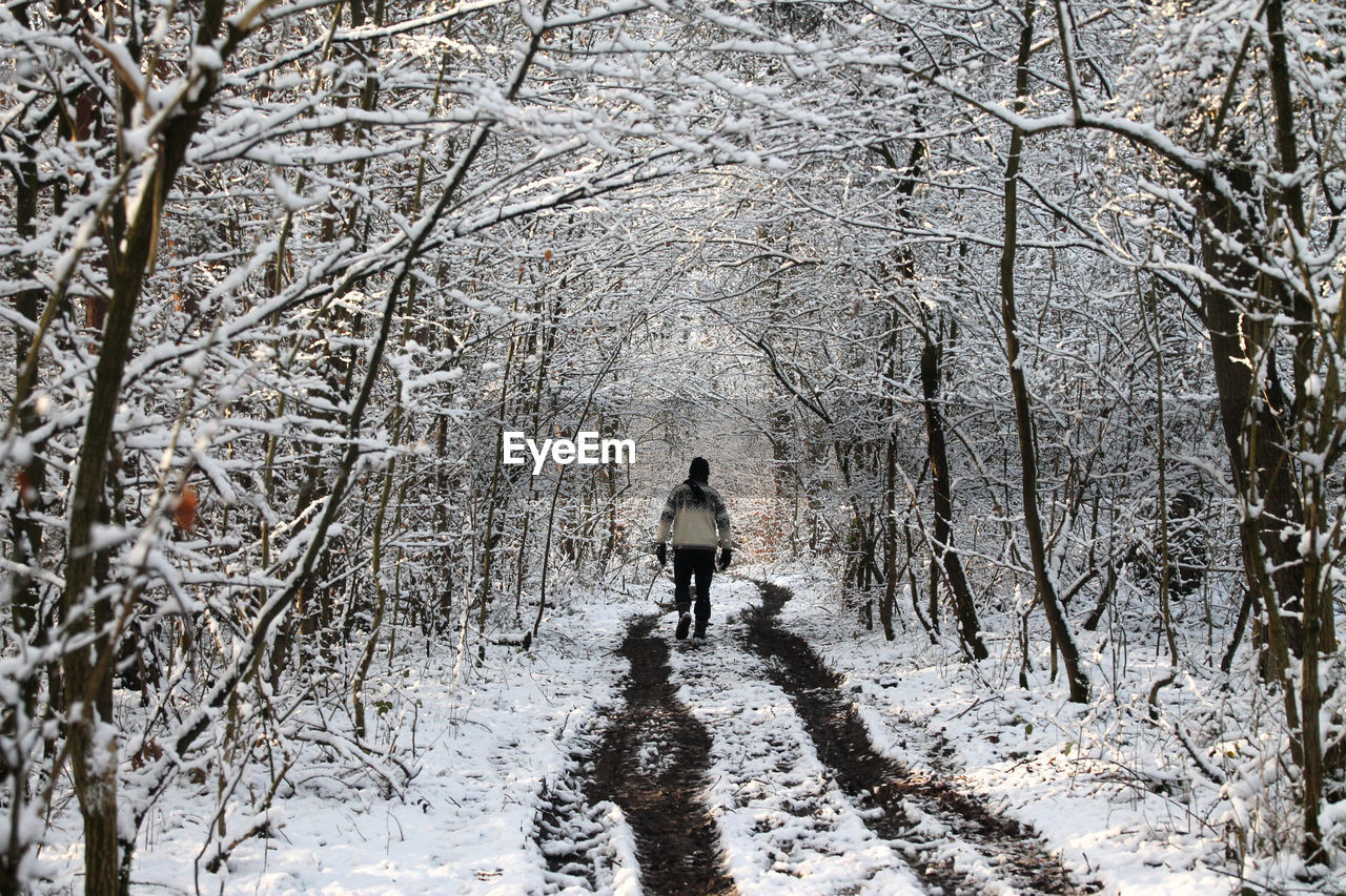 Rear view of man walking in snow covered forest