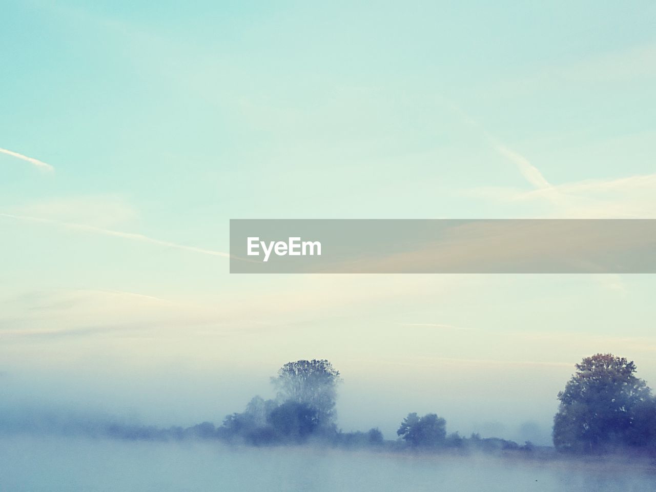 Low angle view of trees against sky