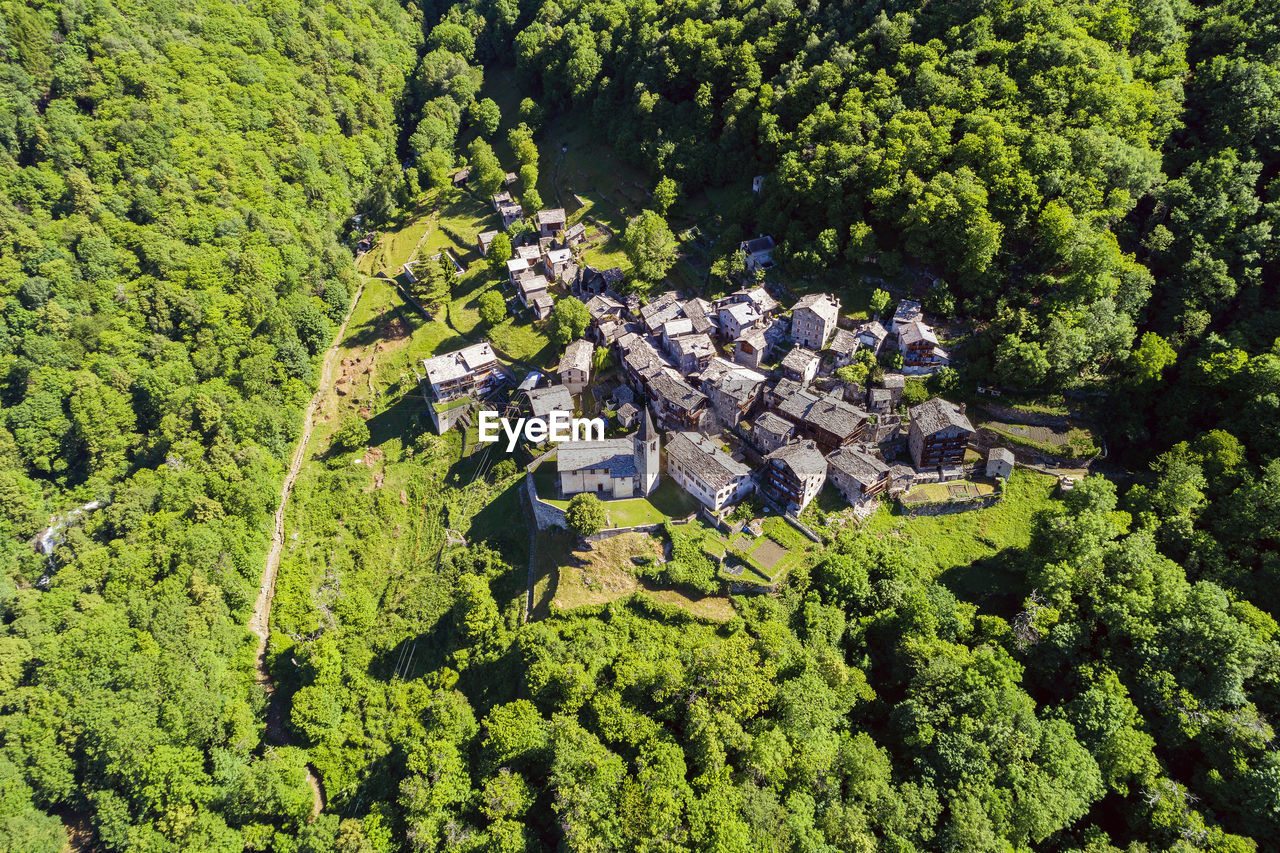 HIGH ANGLE VIEW OF TREES AND PLANTS GROWING IN BUILDING