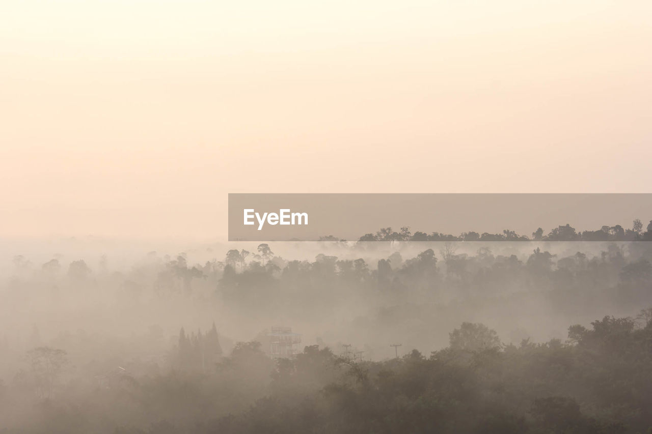 Scenic view of landscape in foggy weather