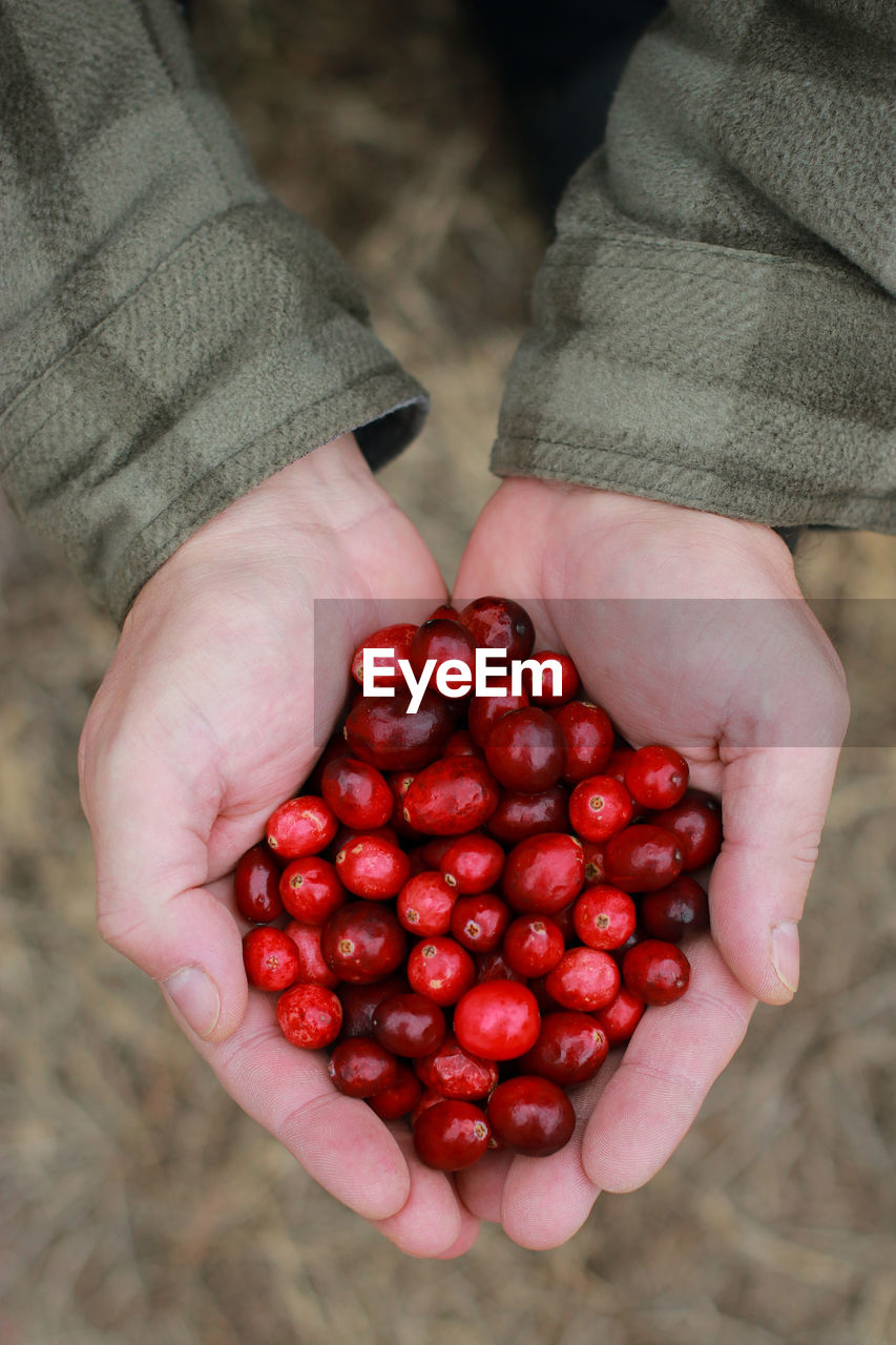 cropped hand of woman holding grapes