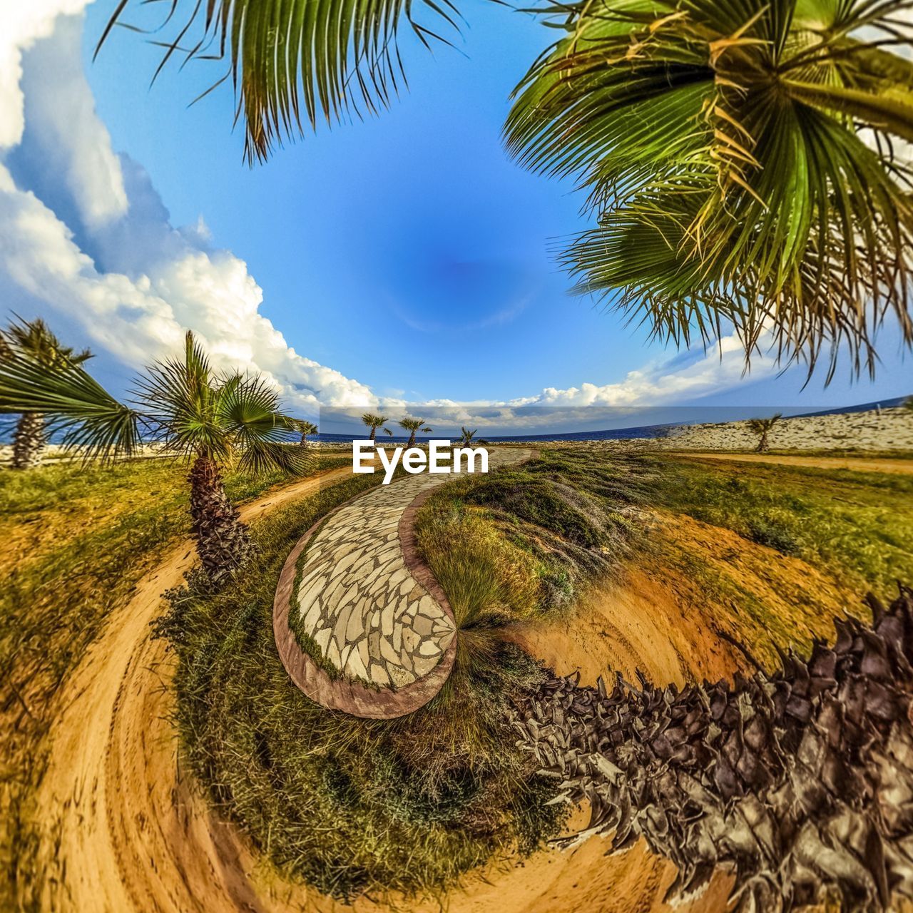 SCENIC VIEW OF PALM TREES AGAINST SKY