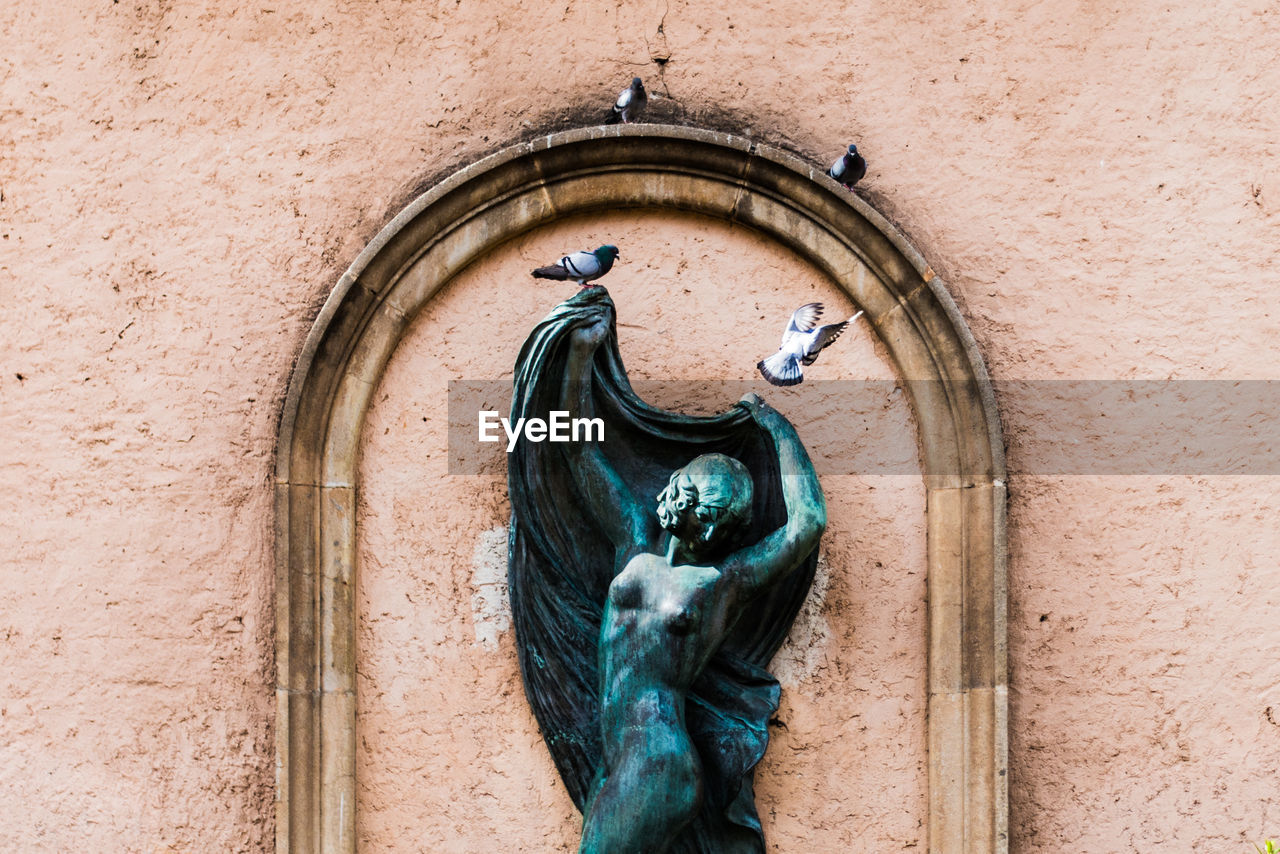 Pigeons perching on metallic statue against wall