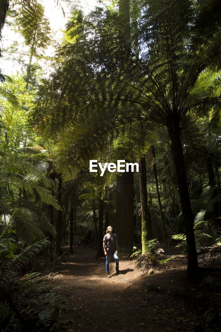 FULL LENGTH REAR VIEW OF WOMAN WALKING ON FOREST