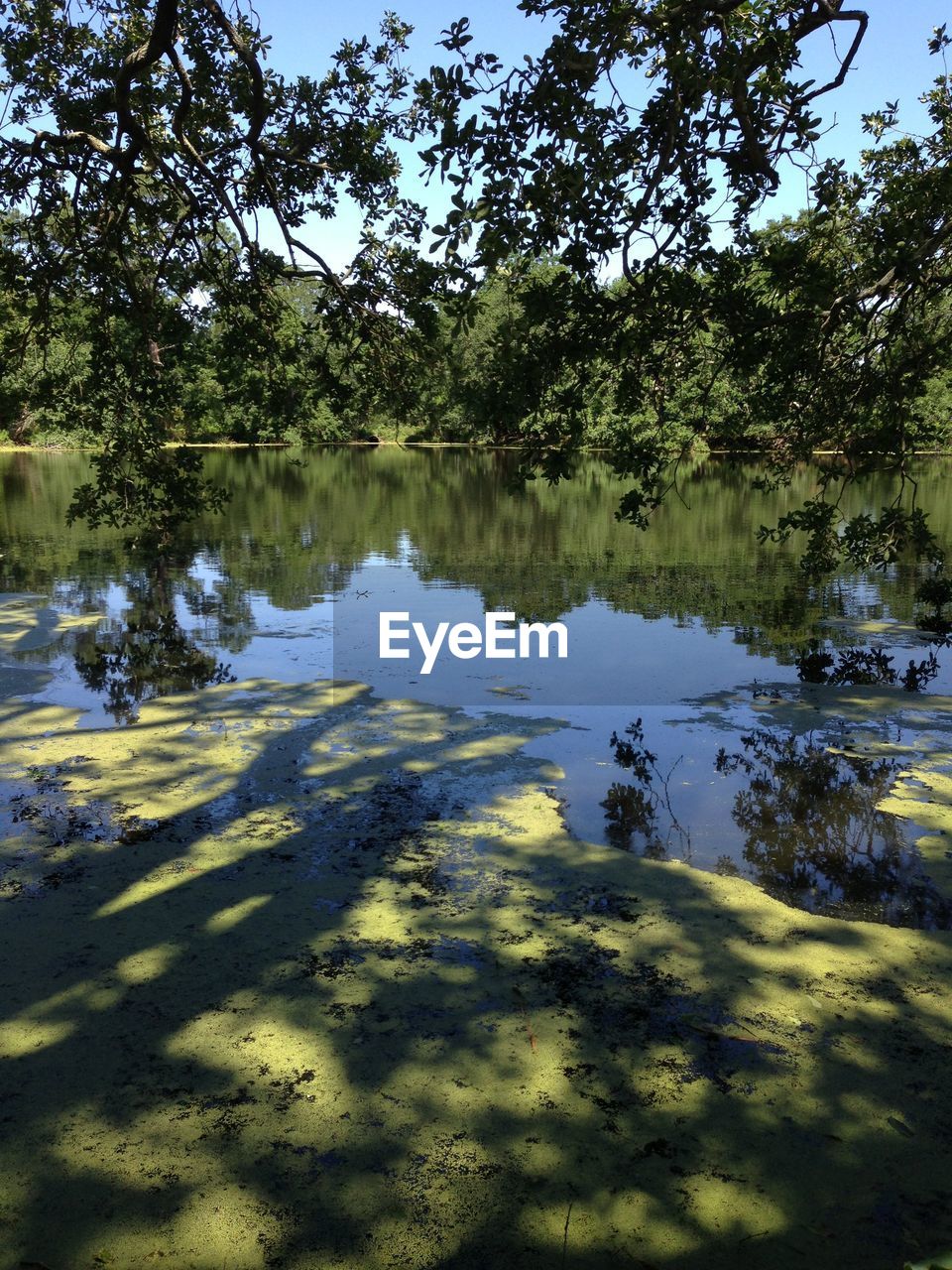 Scenic view of calm lake