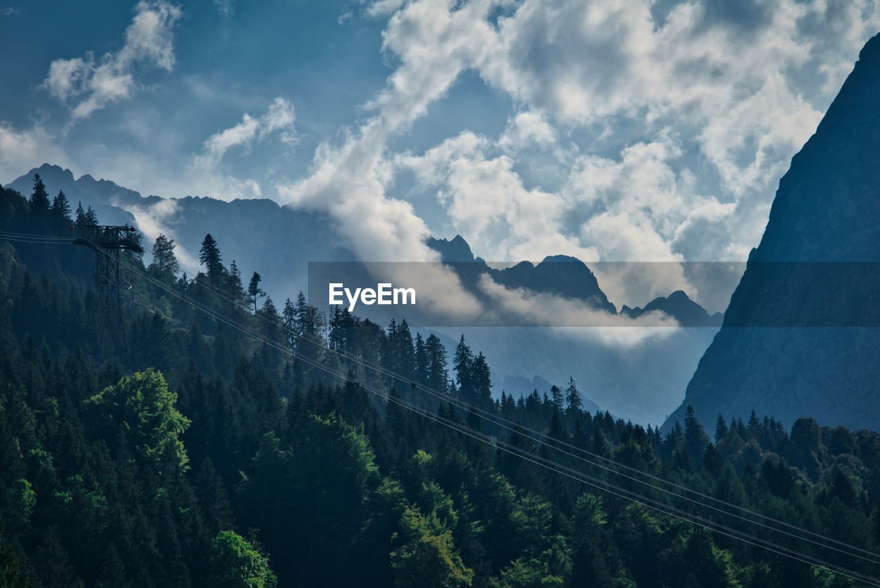 PANORAMIC VIEW OF FOREST AGAINST SKY