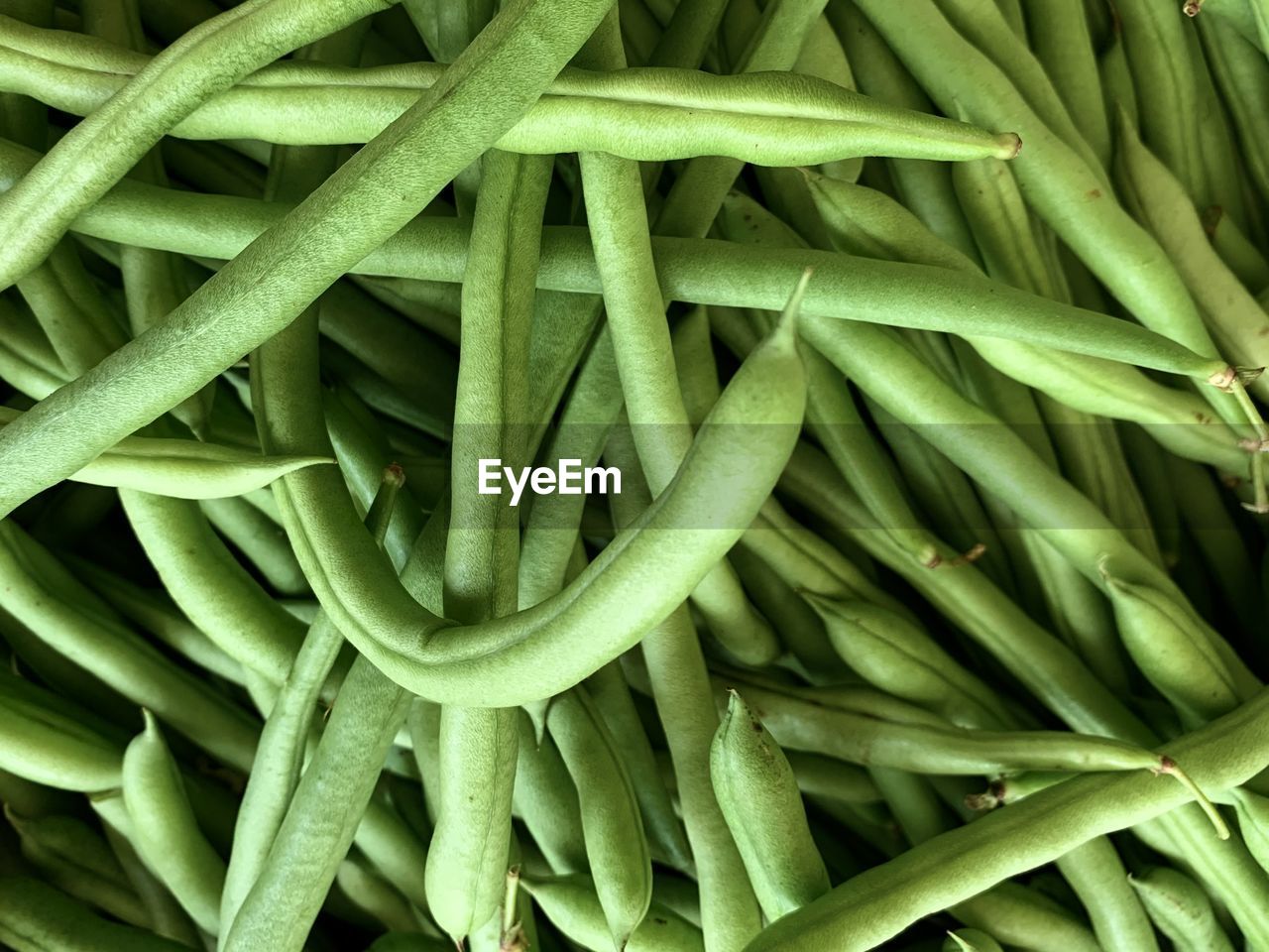 Full frame shot of green bean