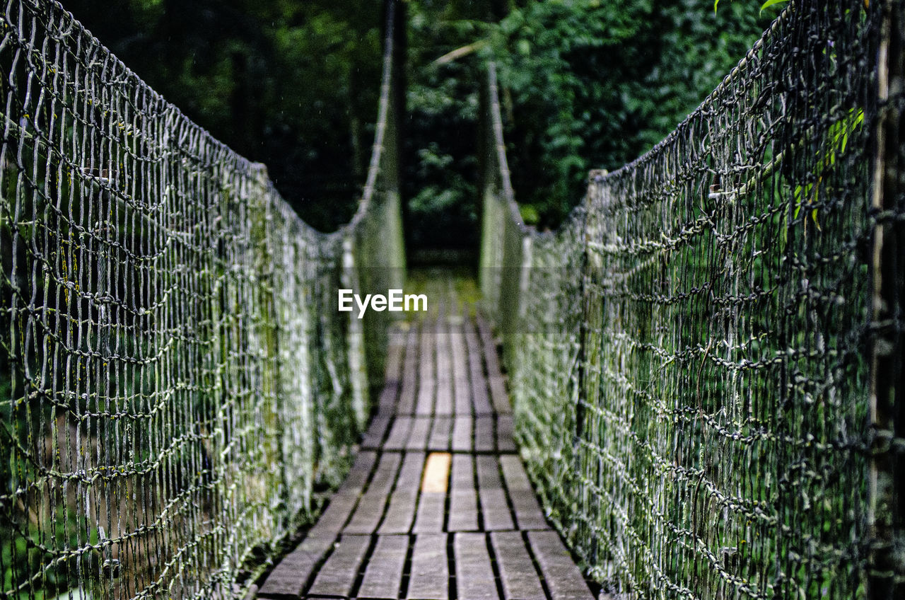 Footpath amidst trees seen through fence