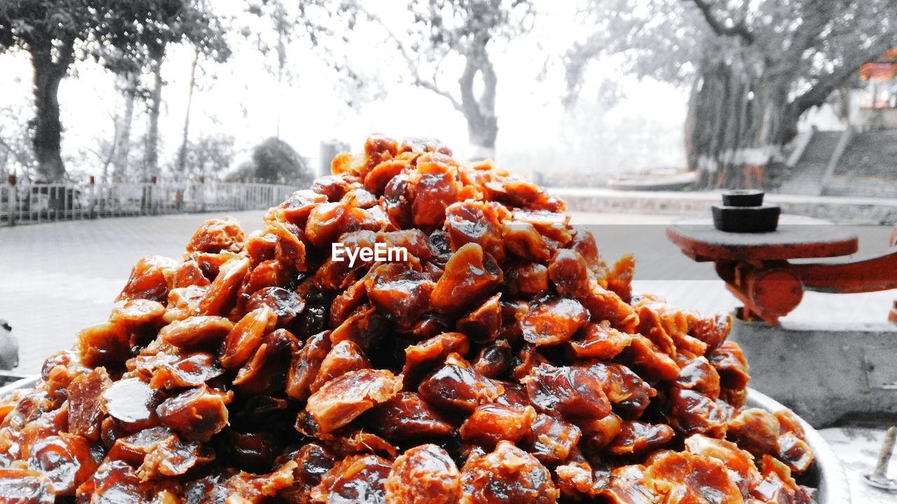 CLOSE-UP OF ICE CREAM BY TREE