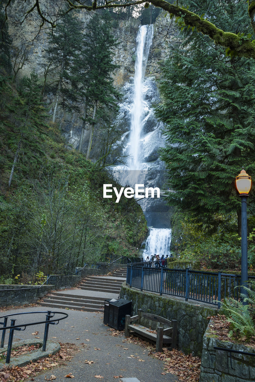 WATERFALL AMIDST TREES AGAINST SKY