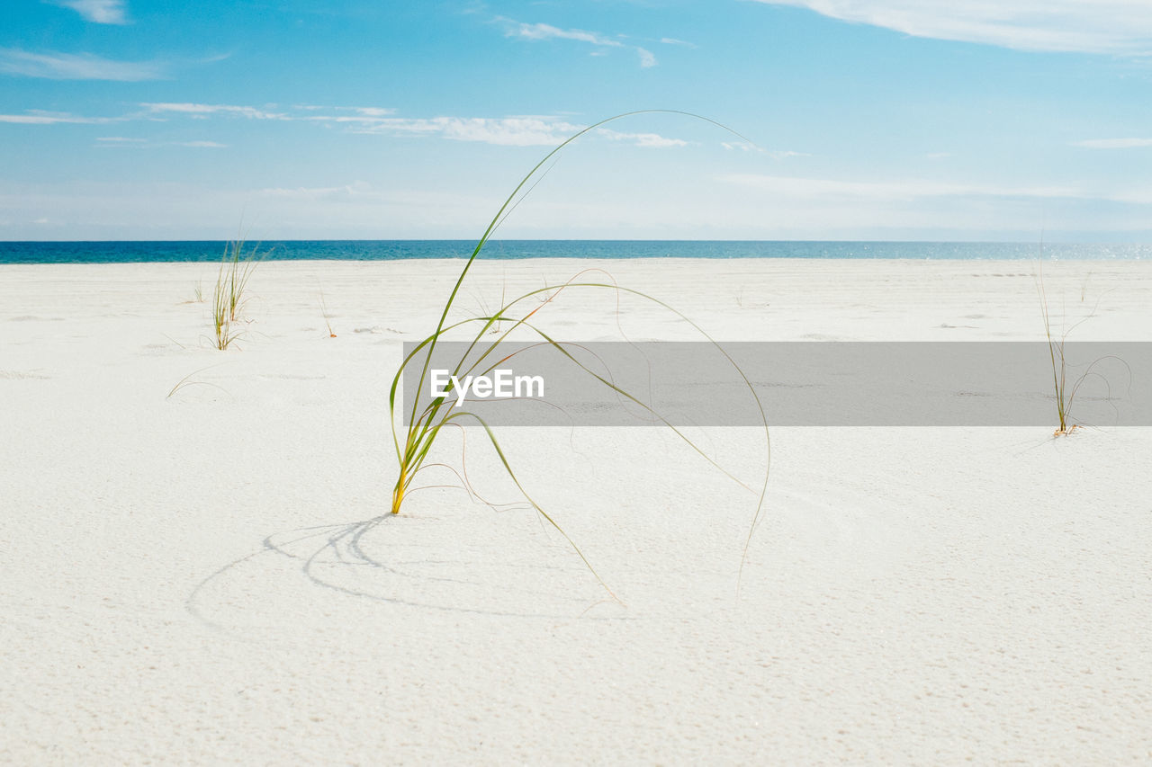 Close-up of sand on beach against sky