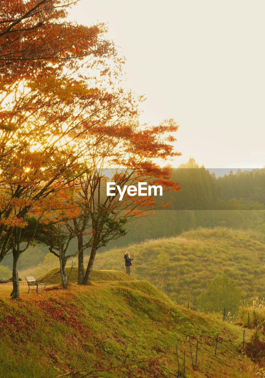 Trees on field against sky during autumn