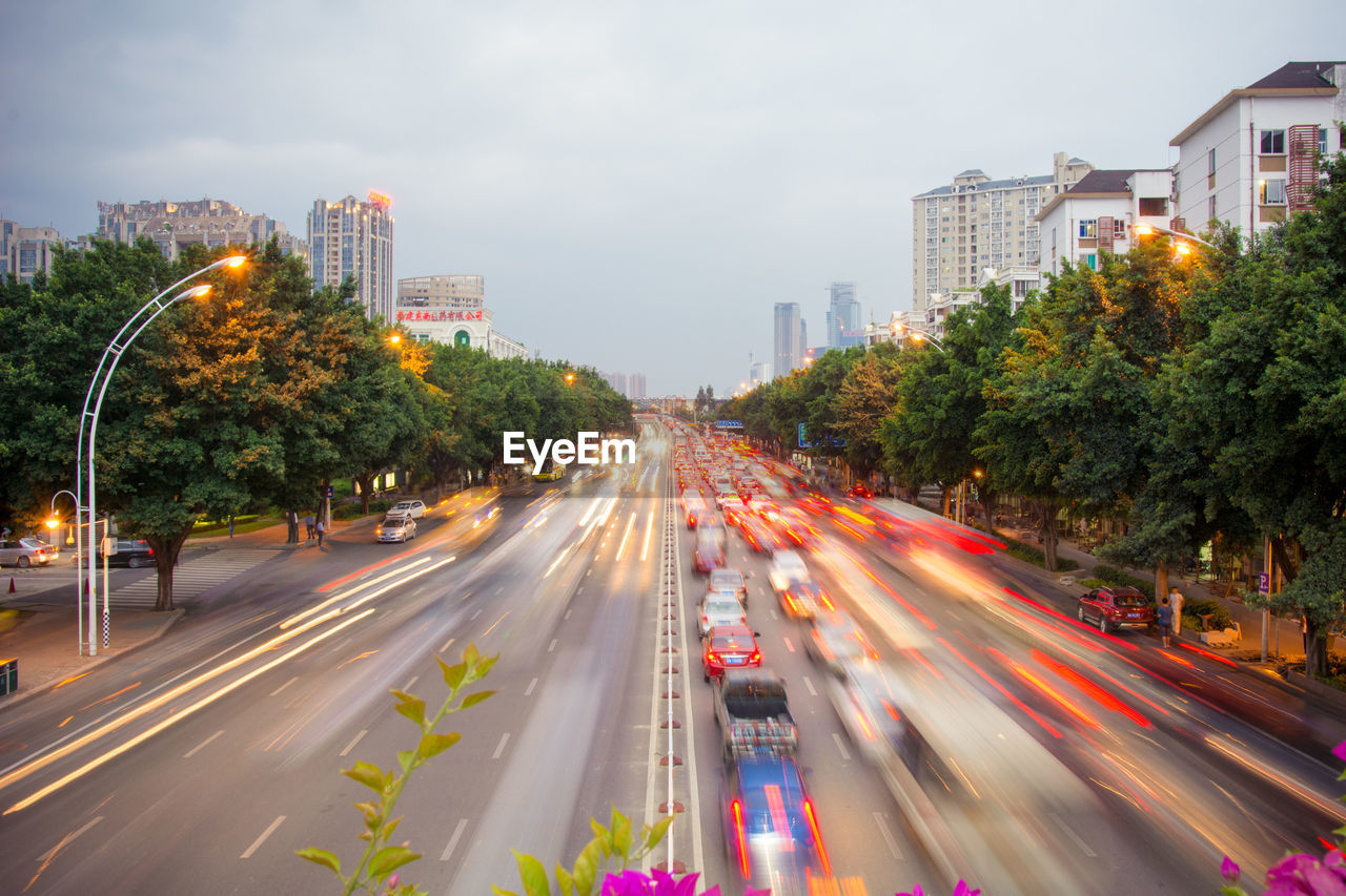 Blurred vehicles on road along trees