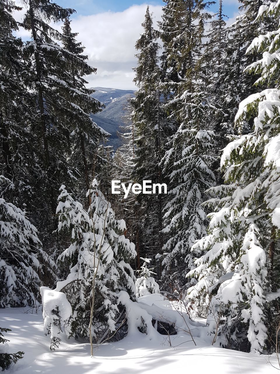 Scenic view of snow covered mountains against sky