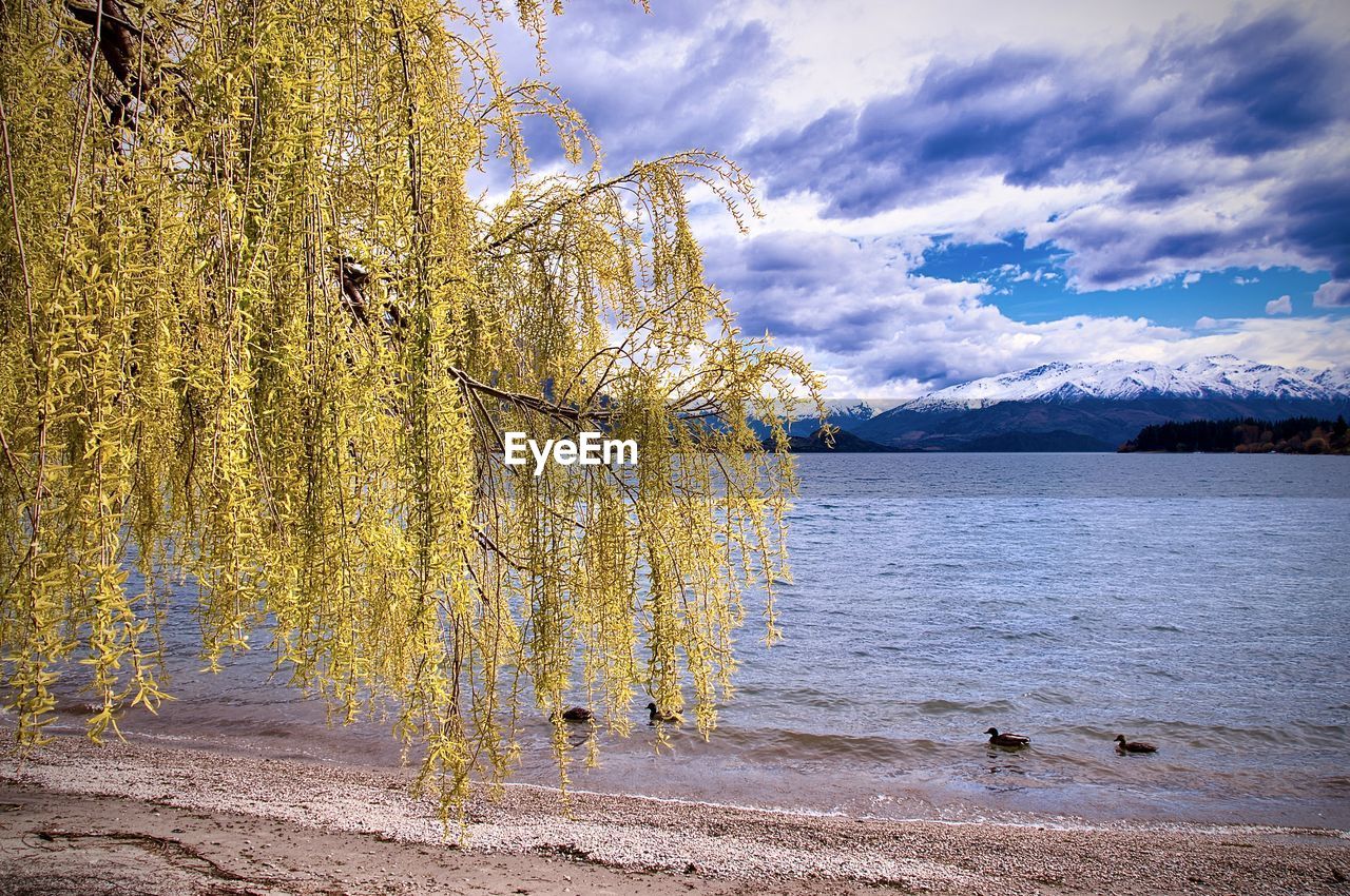 Scenic view of lake against sky during autumn