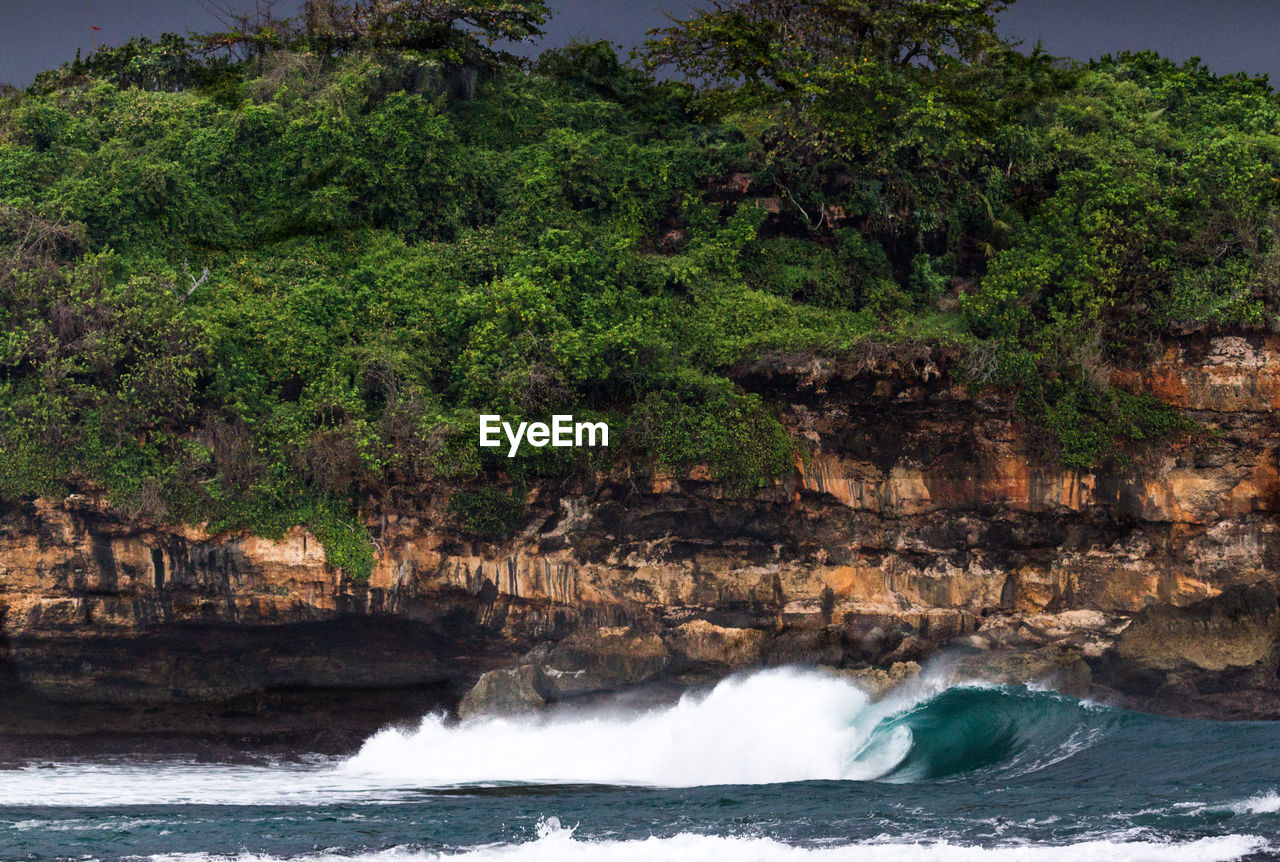 View of sea water and rocky cliff with trees