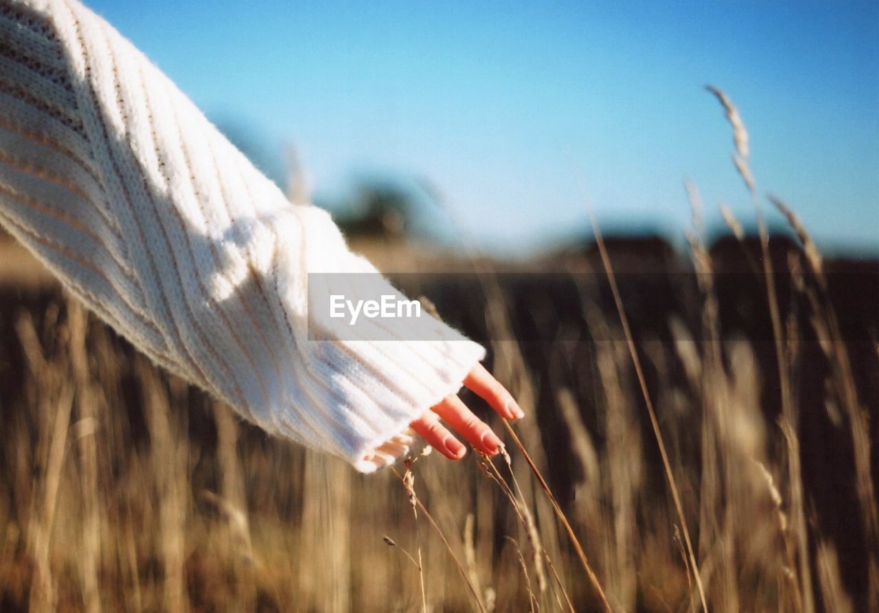 Cropped hand of woman touching plants on field during sunny day