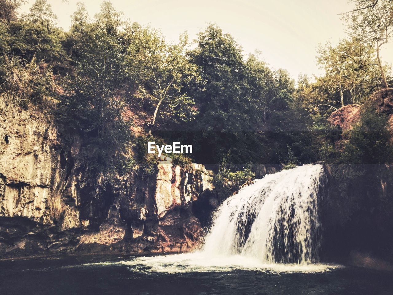 SCENIC VIEW OF WATERFALL BY TREES