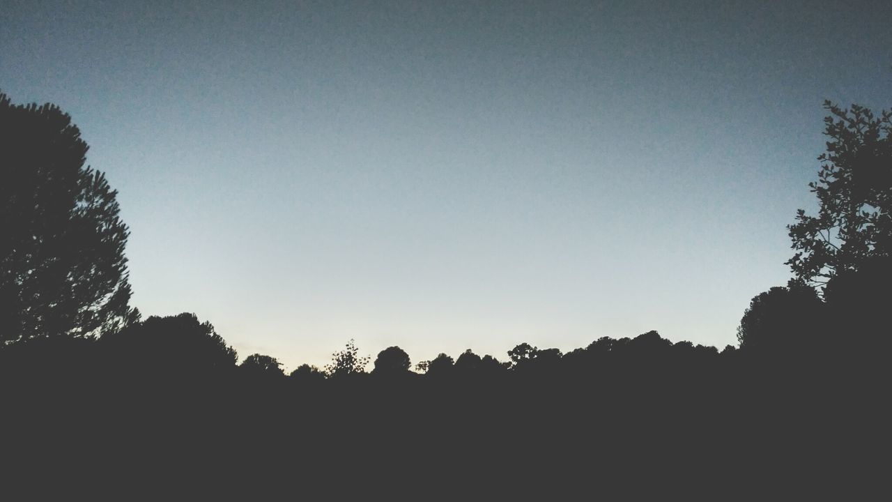 Low angle view of silhouette trees against clear sky