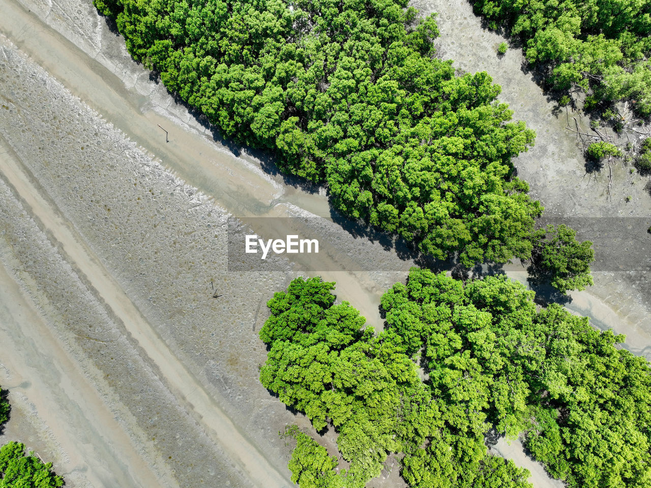 plant, green, growth, high angle view, nature, day, soil, no people, tree, garden, agriculture, beauty in nature, outdoors, shrub, flower, land, vegetable, landscape, food and drink, aerial photography, crop, field, freshness, road, environment, tranquility, transportation, healthy eating