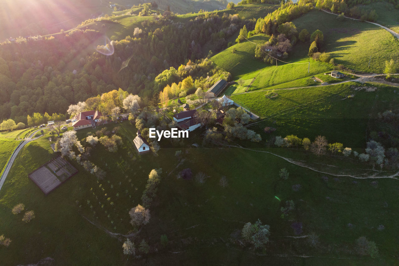 HIGH ANGLE VIEW OF TREES AND BUILDINGS