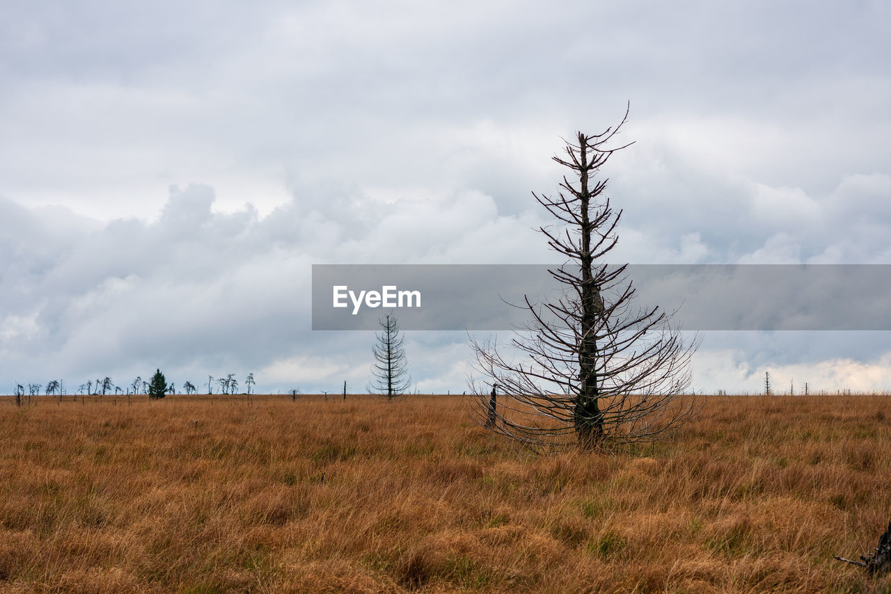 SCENIC VIEW OF LAND AGAINST SKY