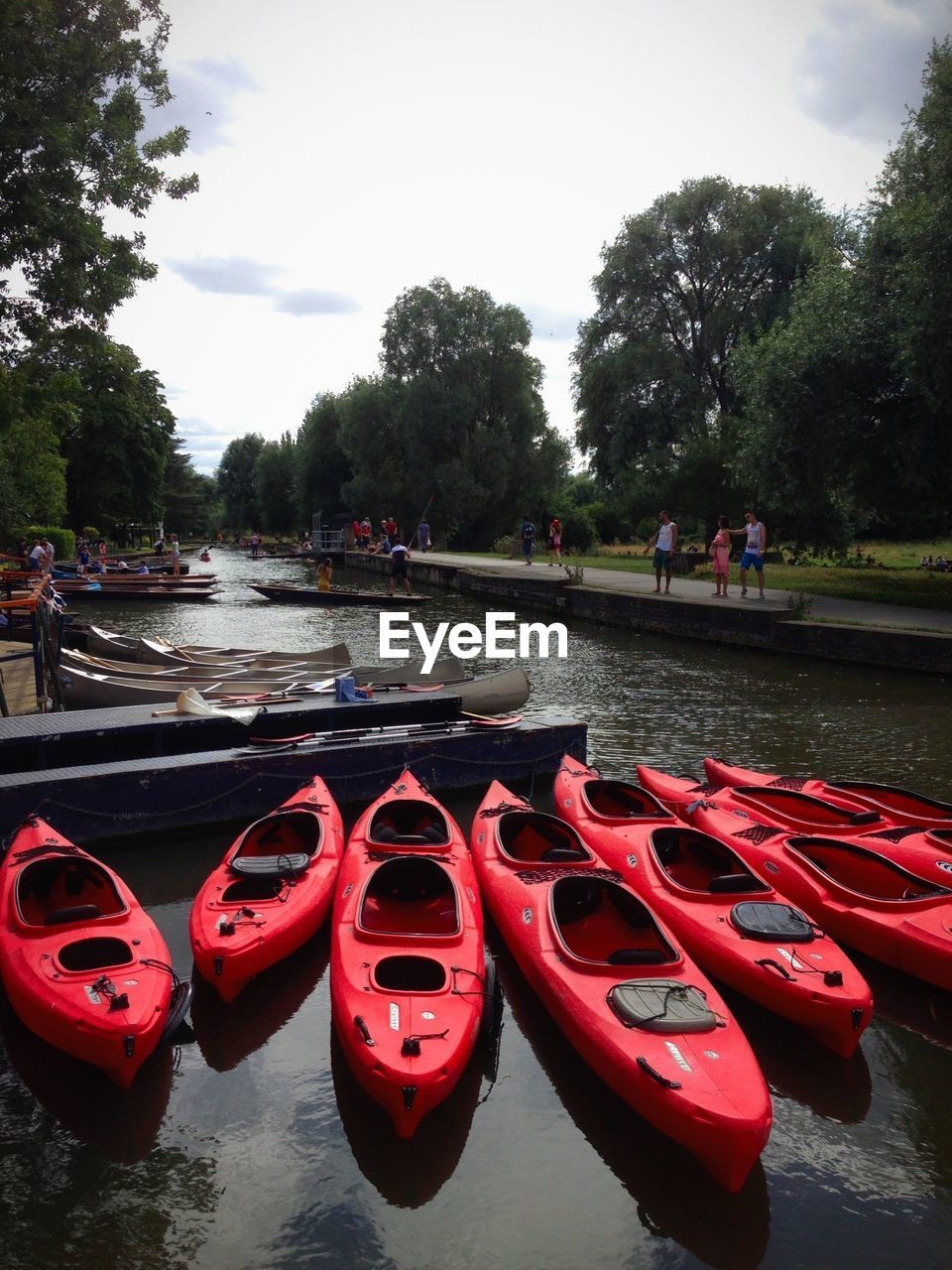 Kayaks moored at canal