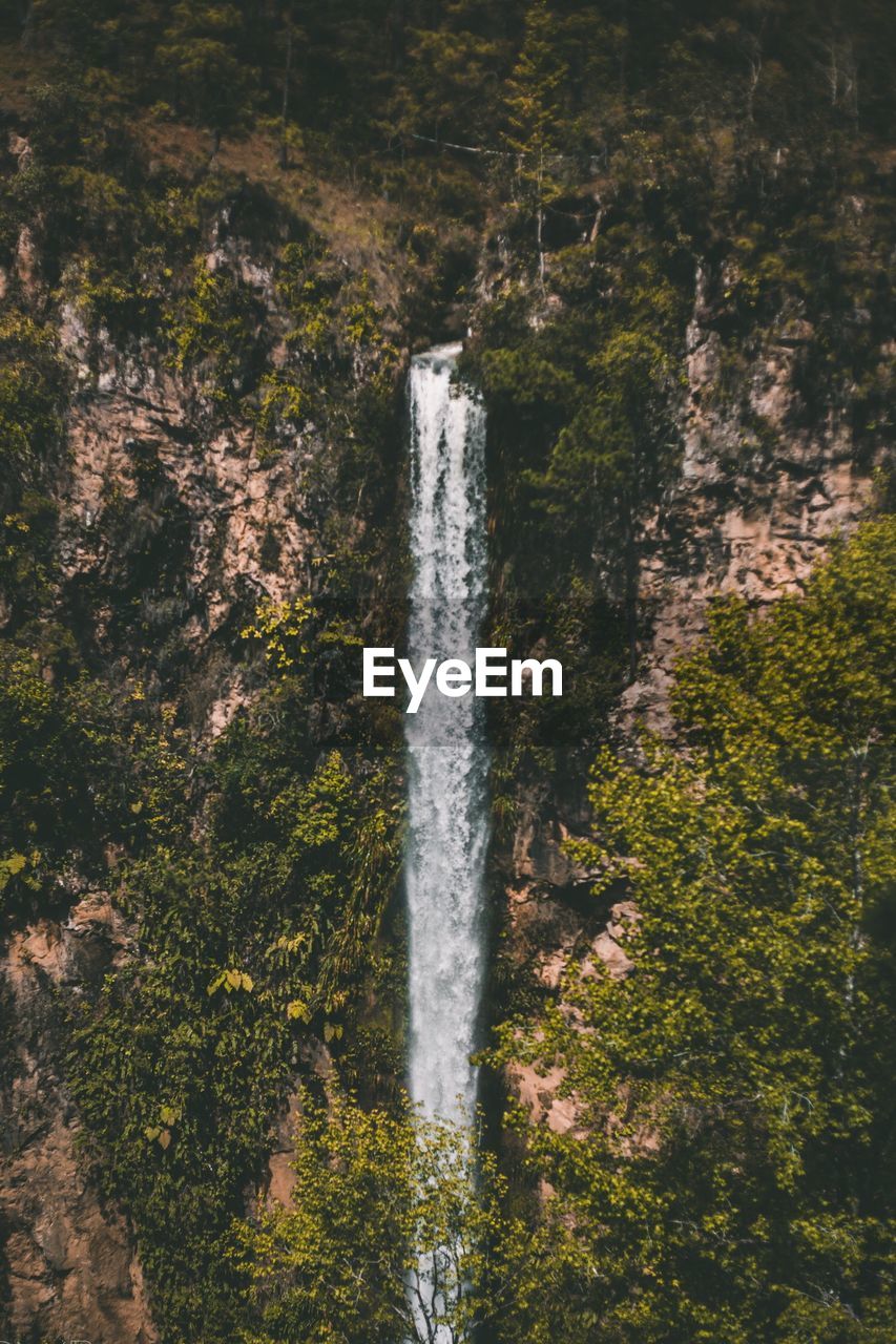 VIEW OF WATERFALL IN FOREST