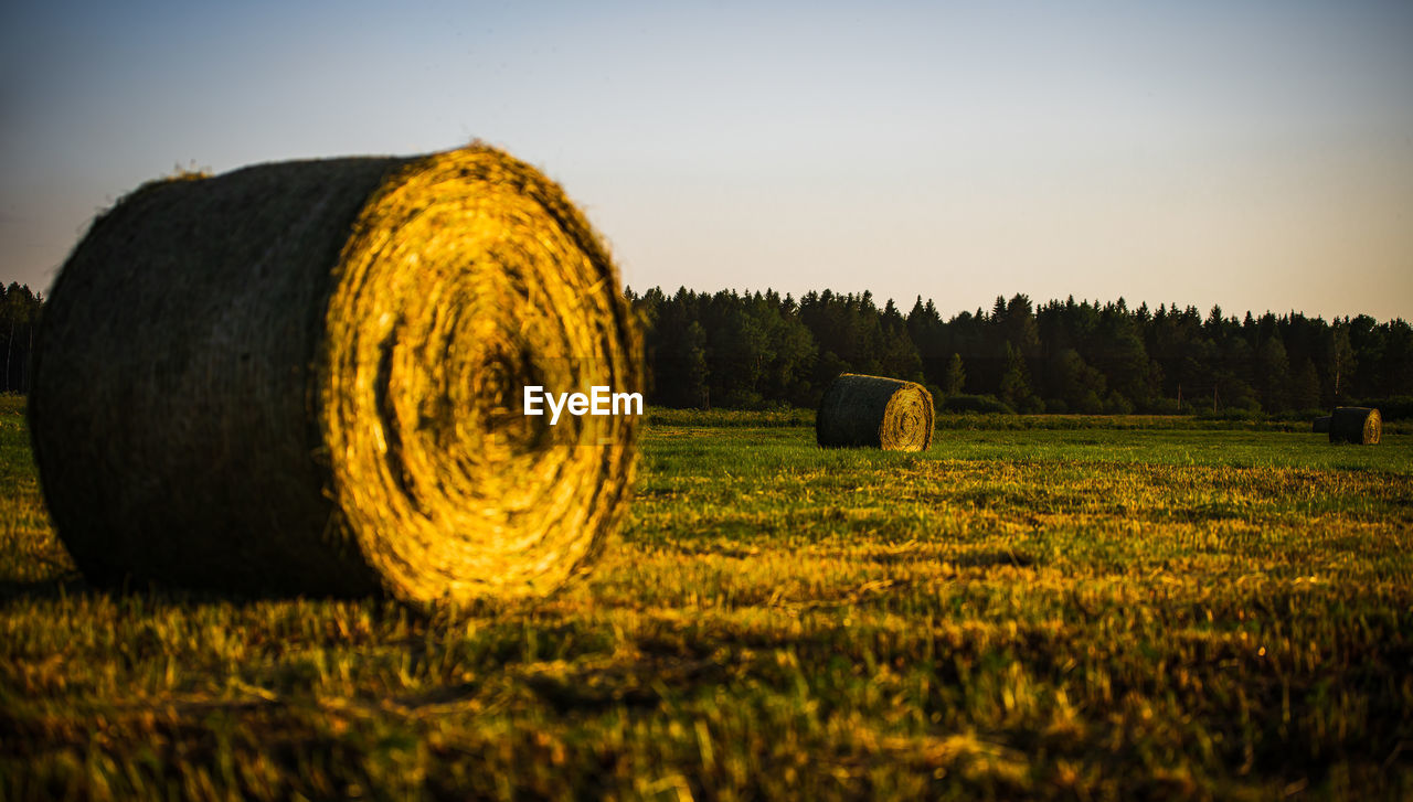 Hay bales on field against sky