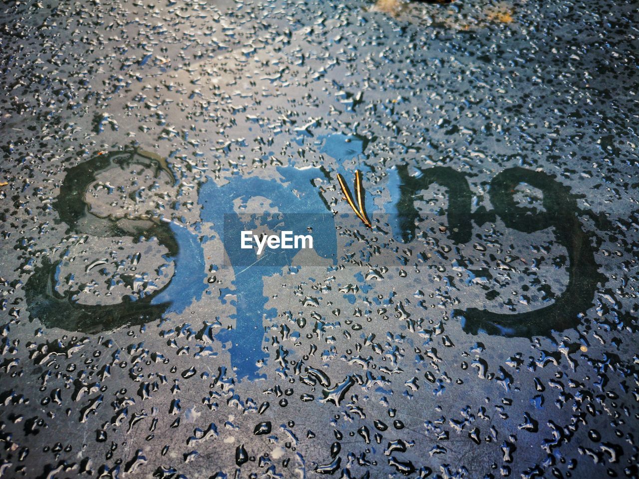 High angle view of raindrops on puddle
