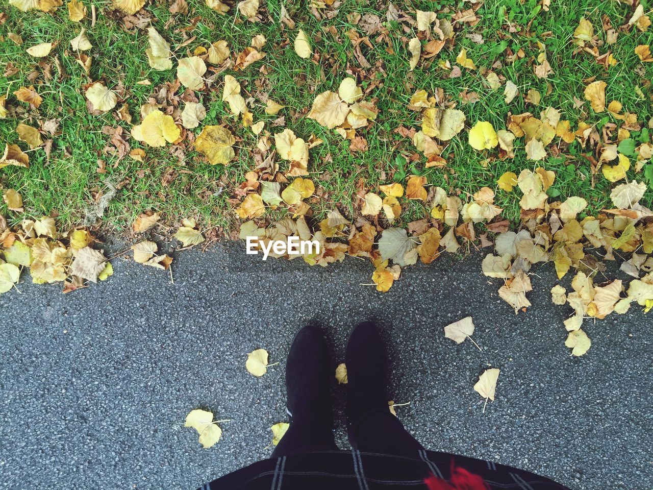 Low section of woman standing on autumn leaves