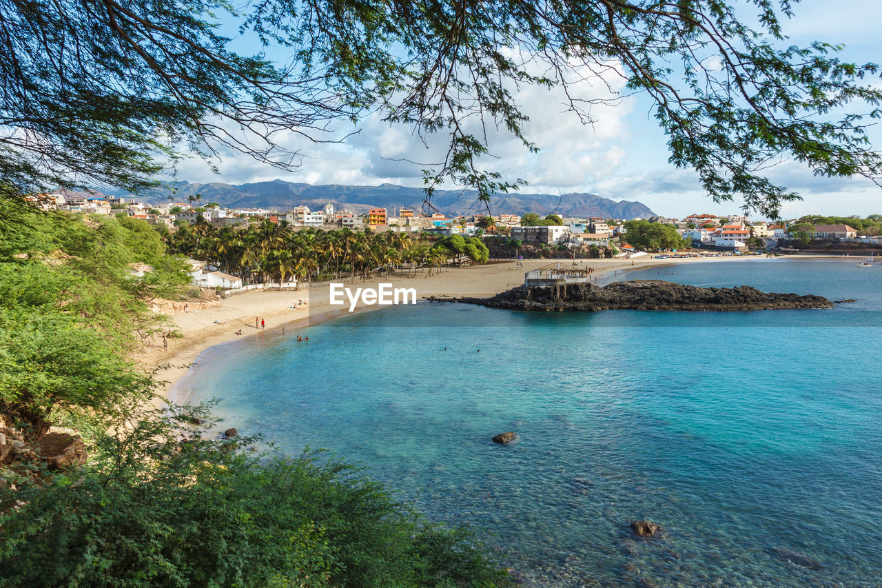 HIGH ANGLE VIEW OF SEA AND TREES AGAINST SKY