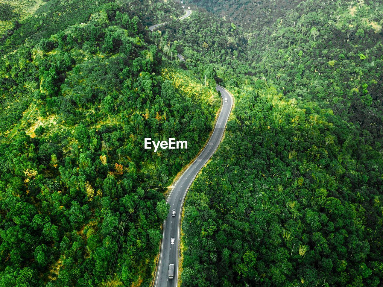 Aerial view of road amidst trees in forest