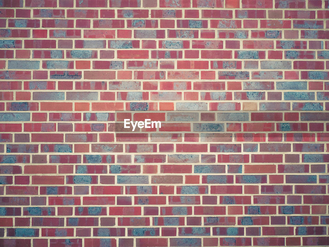 FULL FRAME SHOT OF BRICK WALL WITH RED LEAVES