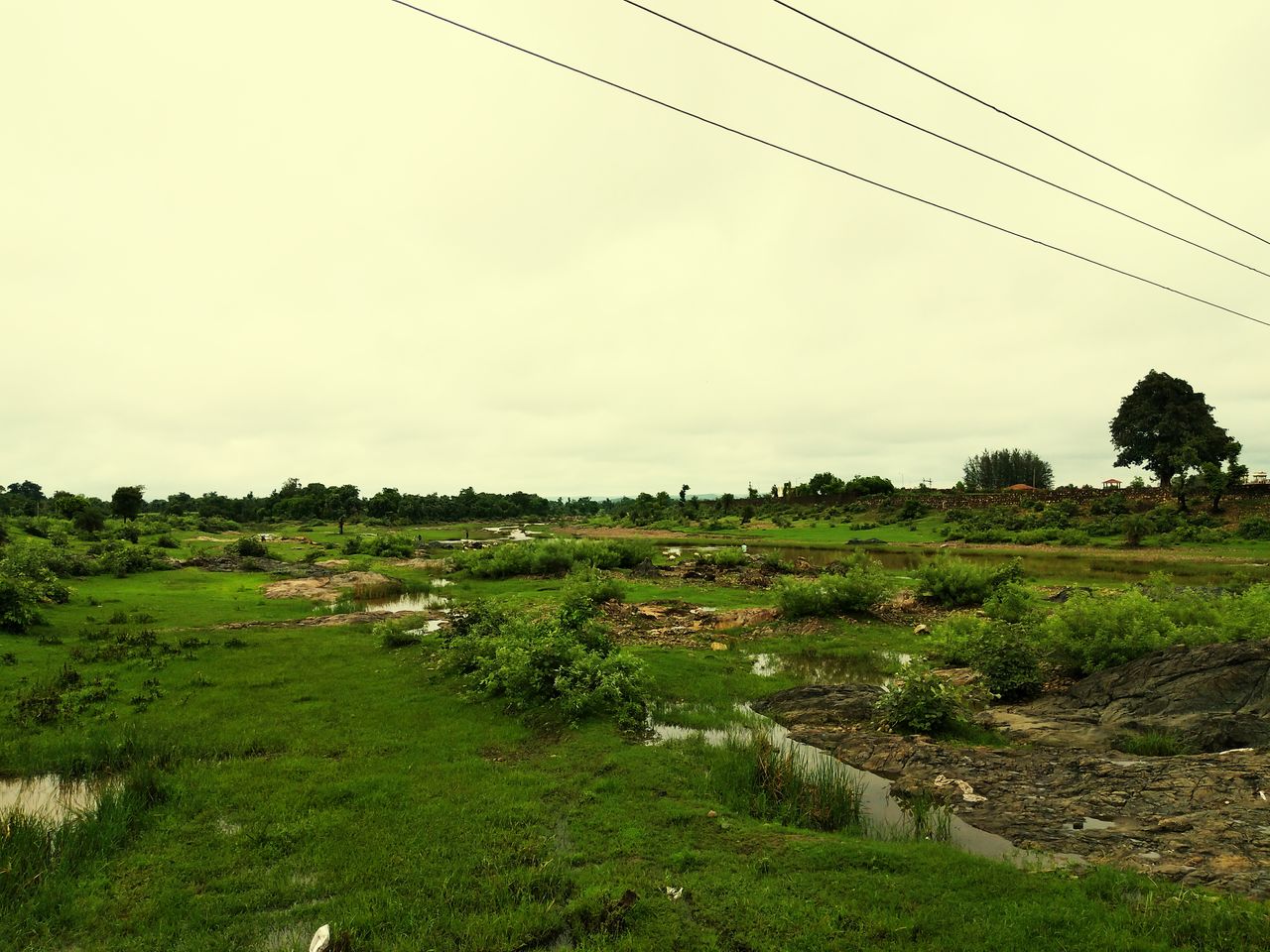 SCENIC VIEW OF GRASSY FIELD AGAINST SKY